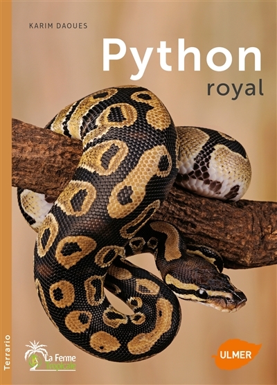 Python royal | Daoues, Karim