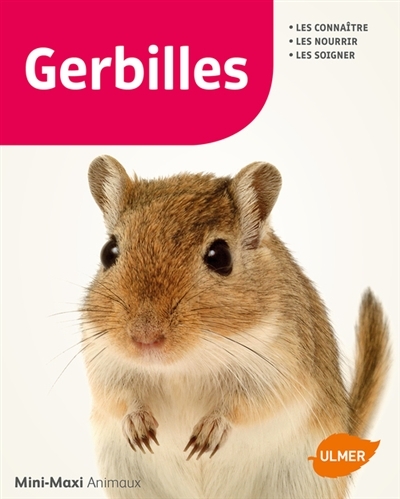 Gerbilles | Schmidt-Röger, Heike