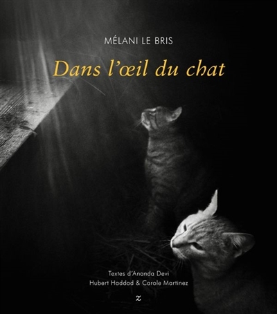 Dans l'oeil du chat | Le Bris, Mélani