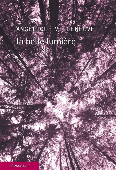 belle lumière (La) | Villeneuve, Angélique