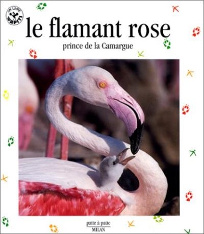 Flamant rose, prince de la Camargue (Le) | Helio, Jean-François
