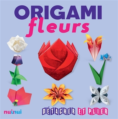 Origami fleurs | 