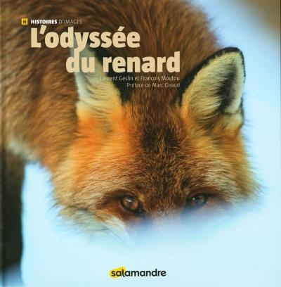 L'odyssée du renard | Geslin, Laurent
