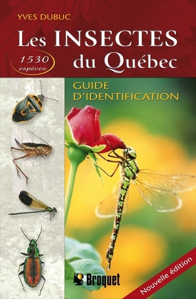insectes du Québec (Les) | Dubuc, Yves