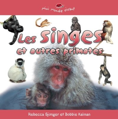 singes et autres primates (Les) | Sjonger, Rebecca
