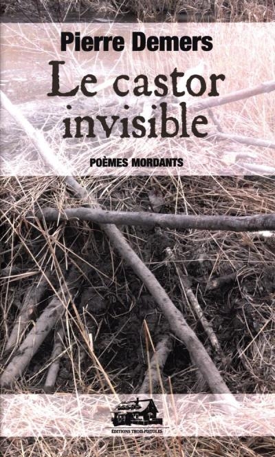 castor invisible (Le) | Demers, Pierre
