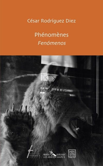 Phénomènes = Fenómenos | Rodríguez Diez, César