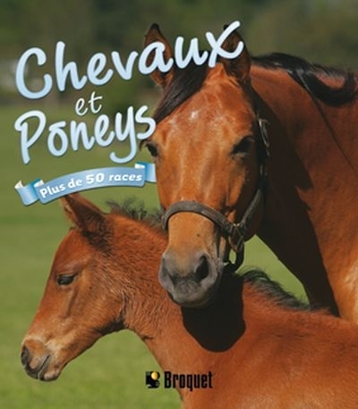 Chevaux et poneys  | Swinney, Nicola Jane