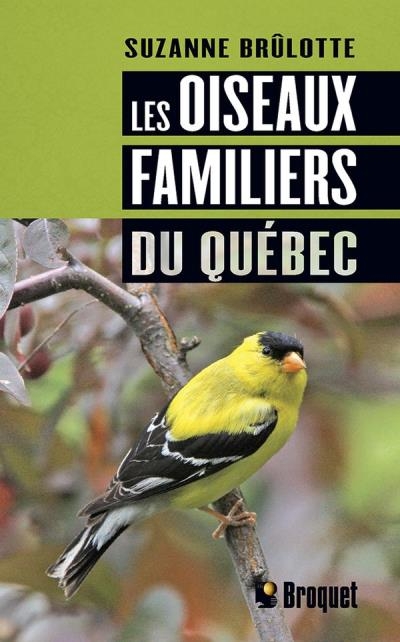 oiseaux familiers du Québec (Les) | Brûlotte, Suzanne