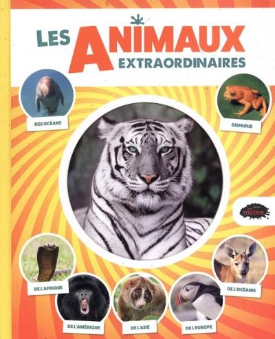 animaux extraordinaires (Les) | Roy, Joliane