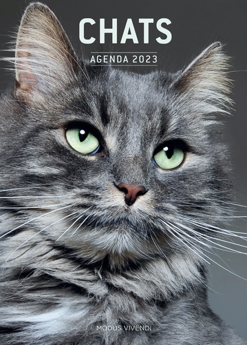 Chats - Agenda 2023 | 