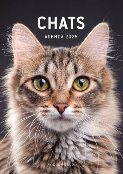 Chats - Agenda 2025 : Soyez heureux avec votre petit félin | Modus Vivendi (Auteur)