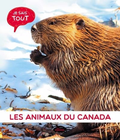 Je sais tout - Les animaux du Canada  | 
