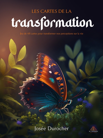 Cartes de la transformation : jeu de 48 cartes pour transformer nos perceptions sur la vie (Les) | Durocher, Josée