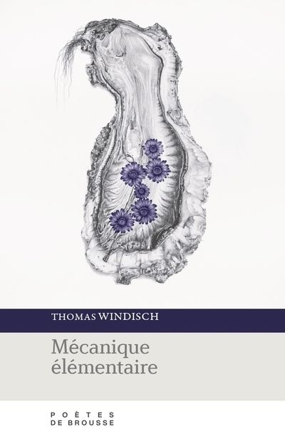 Mécanique élémentaire | Windisch, Thomas