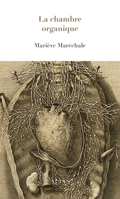 Chambre Organique (La) | Maréchale, Mariève