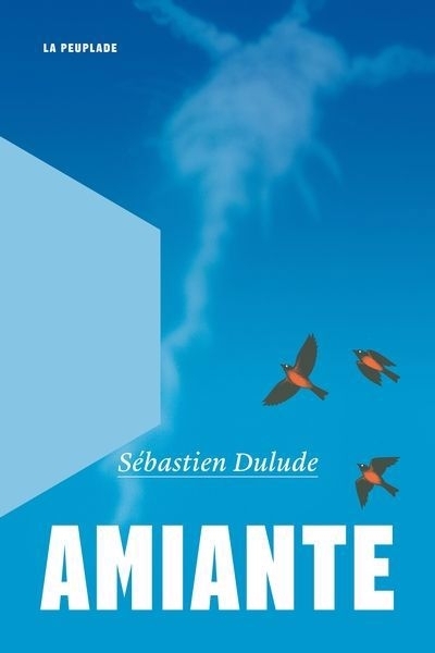 Amiante | Dulude, Sébastien (Auteur)