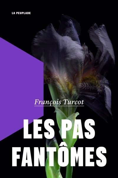 pas fantômes (Les) | Turcot, François (Auteur)