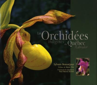Orchidées Indigènes du Québec/Labrador (Les) | Beauséjour, Sylvain