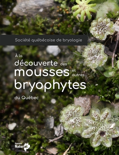 À la découverte des mousses et autres bryophytes du Québec | Société québécoise de bryologie