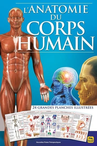 anatomie du corps humain (L') | 