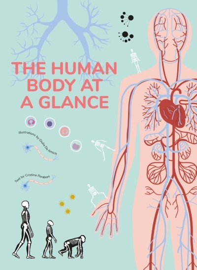 The Human Body at a Glance | 