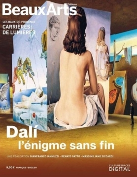 Dali, l'énigme sans fin : Carrière de lumières, Les Baux-de-Provence | 