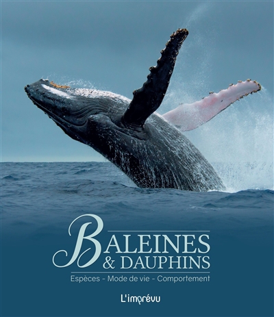 Baleines & dauphins : espèces, mode de vie, comportement | Wandrey, Rüdiger