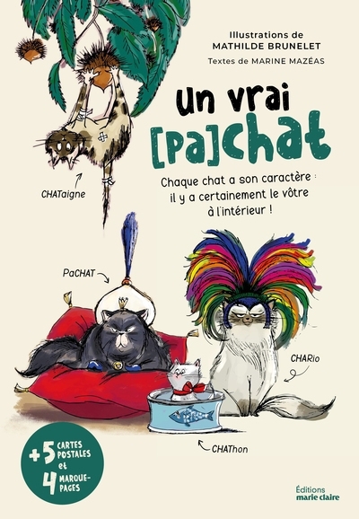 Un vrai (pa)chat : chaque chat a son caractère : il y a certainement le vôtre à l'intérieur ! | Mazéas, Marine (Auteur) | Brunelet, Mathilde (Illustrateur)